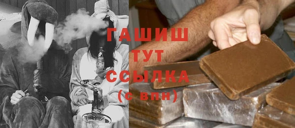 стаф Алзамай