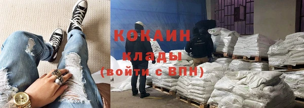стаф Алзамай