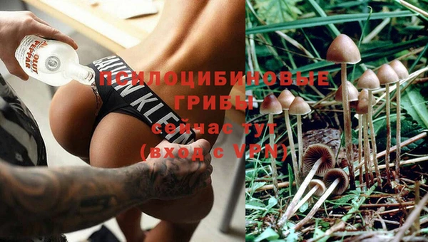 синтетический гашиш Алексин