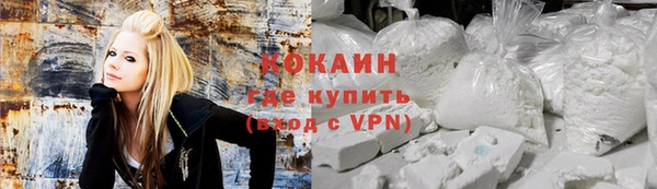 стаф Алзамай