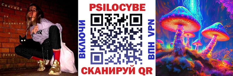 Псилоцибиновые грибы прущие грибы Новосиль